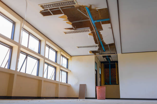 Best 24/7 water damage repair  in Bonita, CA