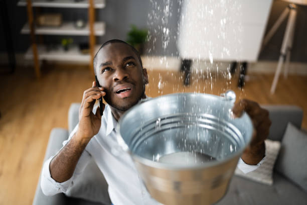 Best Water damage restoration near me  in Bonita, CA