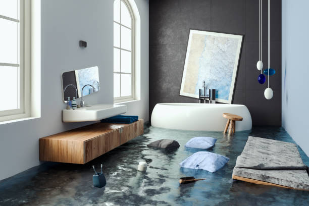 Best Water damage cleanup near me  in Bonita, CA