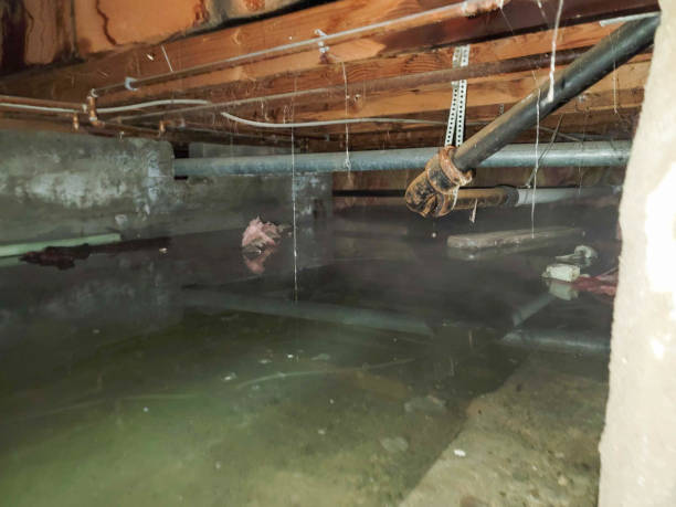 Best Fire Damage Restoration  in Bonita, CA
