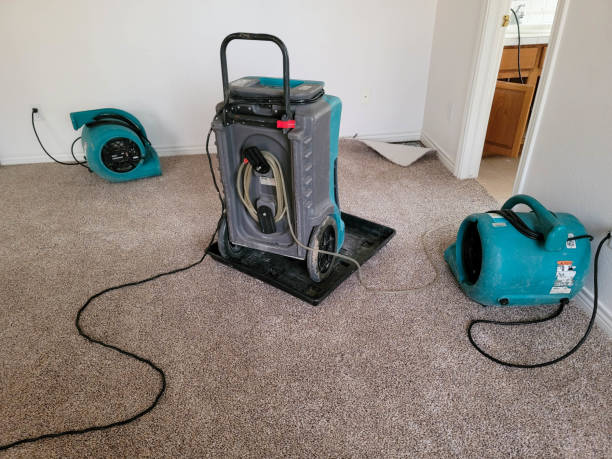 Best Local water damage restoration  in Bonita, CA