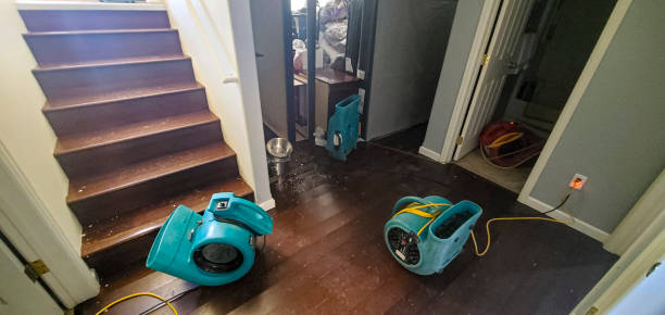 Best Commercial water damage restoration  in Bonita, CA