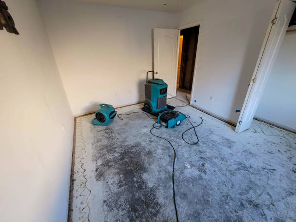 Best Fire Damage Restoration  in Bonita, CA