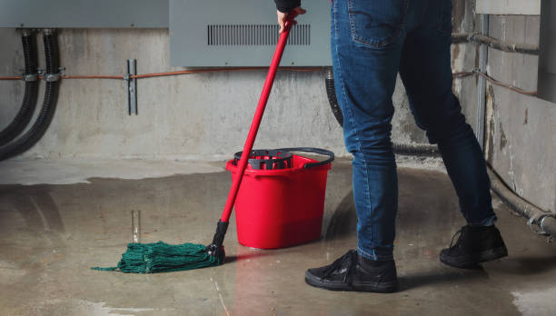 Best Flood restoration services  in Bonita, CA