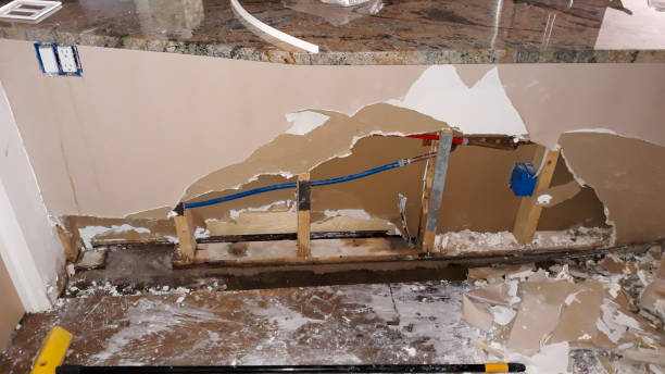 Best Flooded house restoration  in Bonita, CA