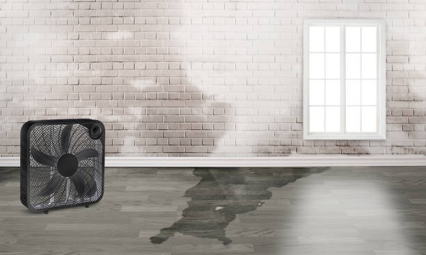 Best Emergency water damage restoration  in Bonita, CA