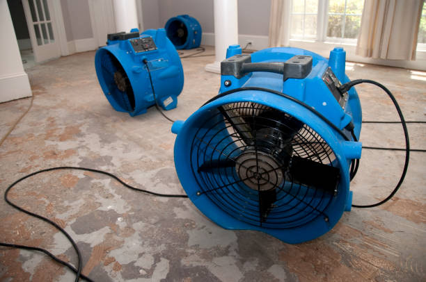 Best 24-hour water damage restoration  in Bonita, CA