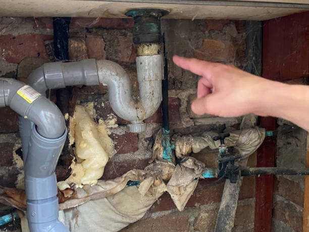Best Mold removal after water damage  in Bonita, CA