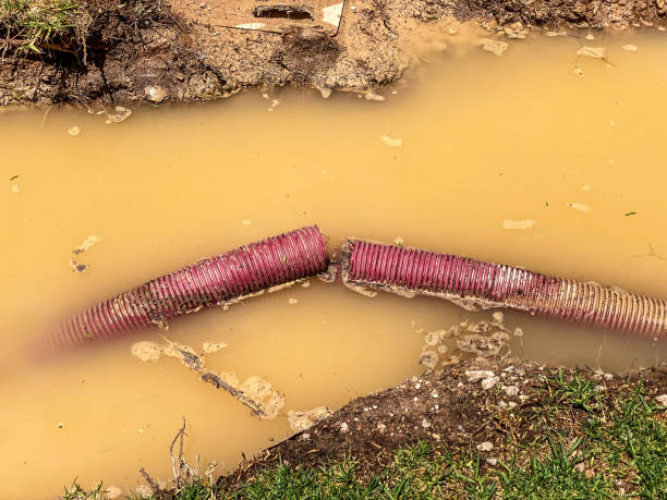 Water damage restoration experts in CA