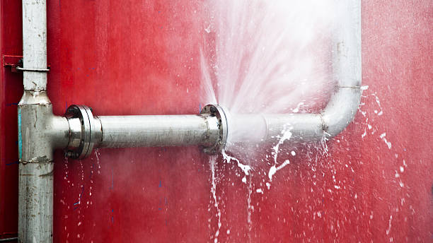 Best Water damage restoration company  in Bonita, CA